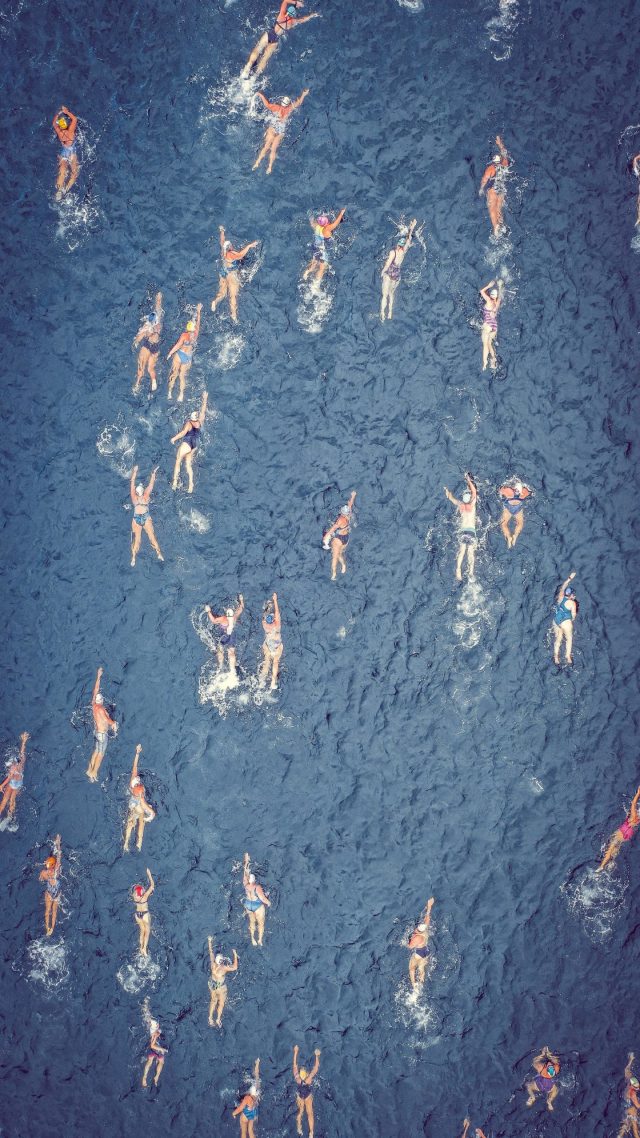 The new hires of LiveAction - swimming image