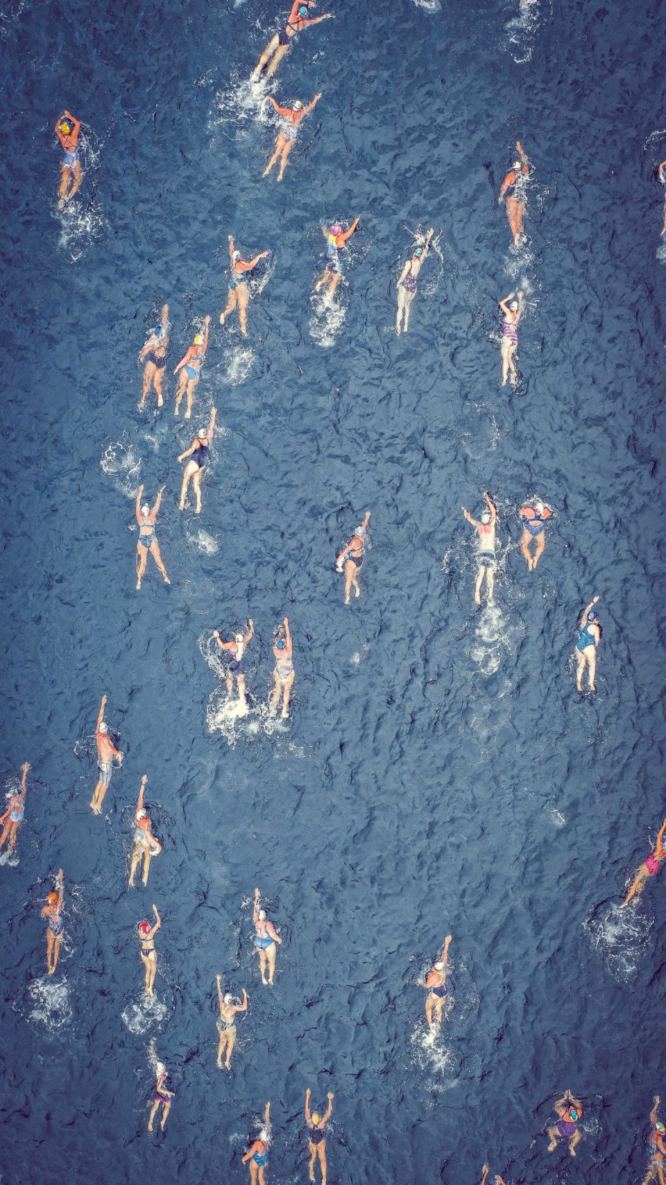 The new hires of LiveAction - swimming image