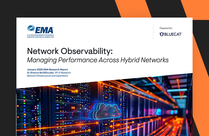 Enterprise Strategies for Hybrid, Multi-Cloud Networks